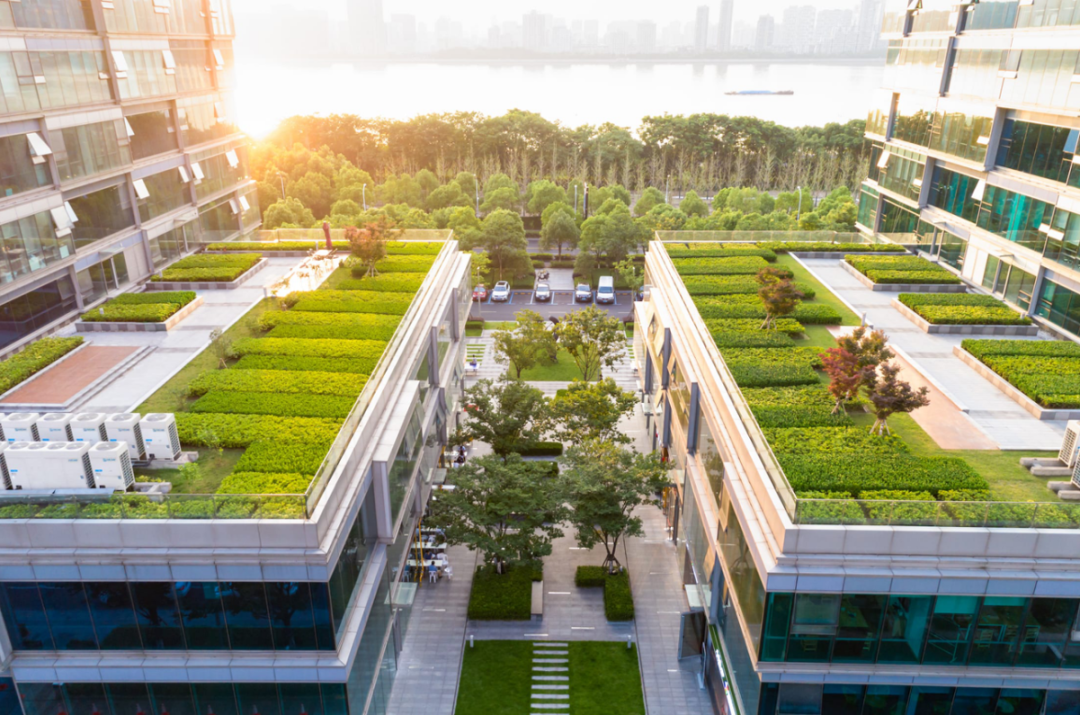 干货丨屋顶绿化设计分享