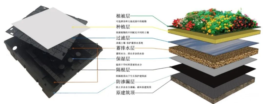 屋顶绿化种植屋面的构造层次 植被层