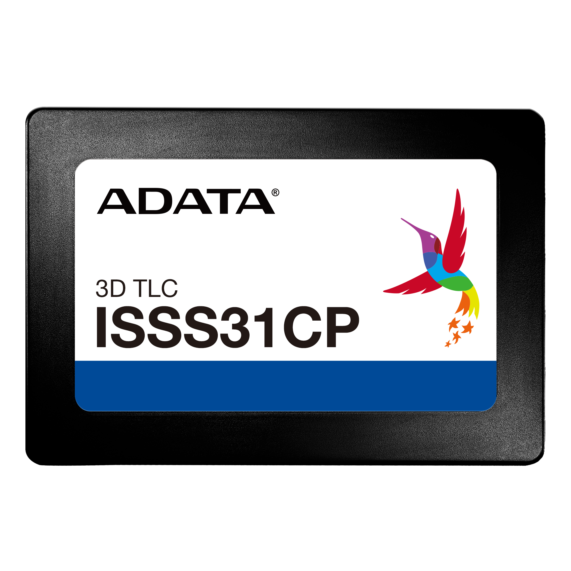ISSS31CP-1