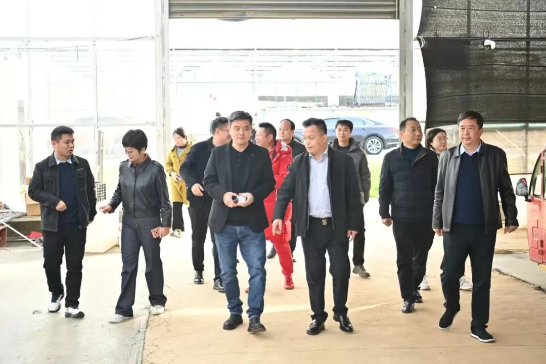 乌兹别克斯坦安徽商会莅临中部花木城自贸园考察，寻求国际合作新契机