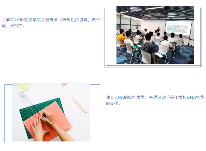 探索生命最深处系列之二：DNA形态变换-企业官网