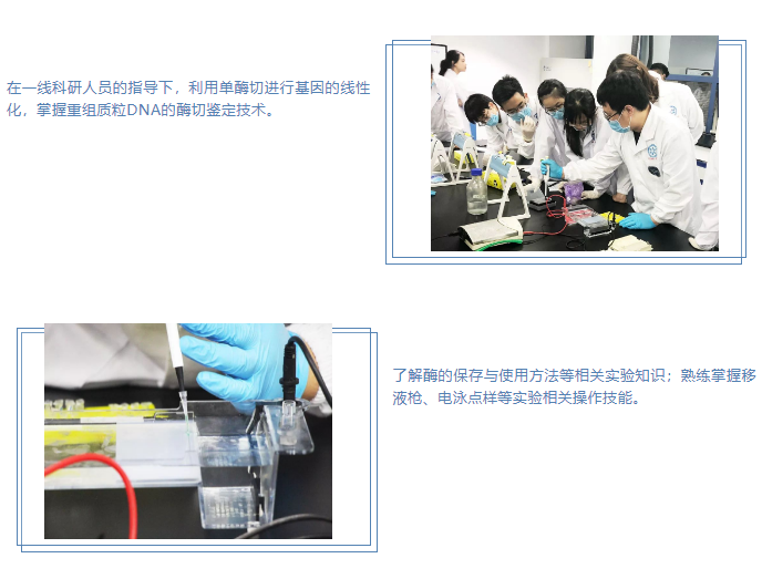 探索生命最深处系列之二：DNA形态变换-企业官网