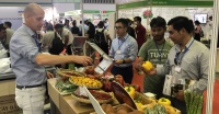 2024年越南花卉园艺展览会-图片-3