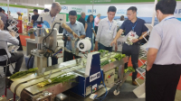 2024年越南花卉园艺展览会-图片-4