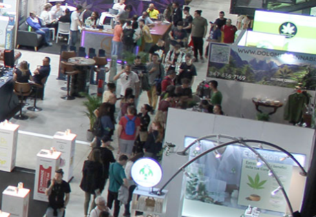 2025年意大利大麻展宣传图-3