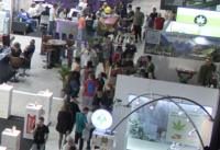 2025年意大利大麻展宣传图-3
