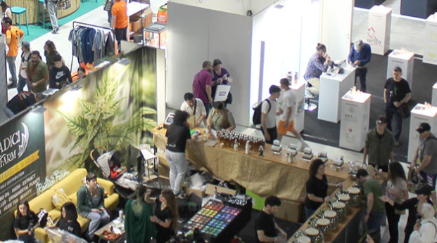 2025年意大利大麻展宣传图-4