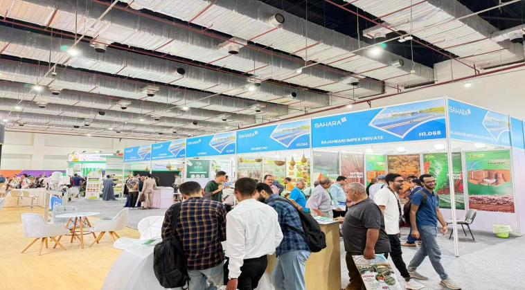 2026年第38届埃及撒哈拉国际农业展览会宣传图-3