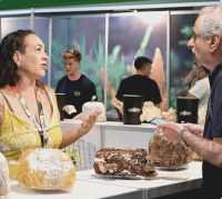 2026年阿根廷大麻展宣传图-3