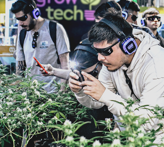 2026年阿根廷大麻展宣传图-4