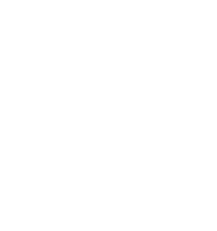 专业网络安全服务