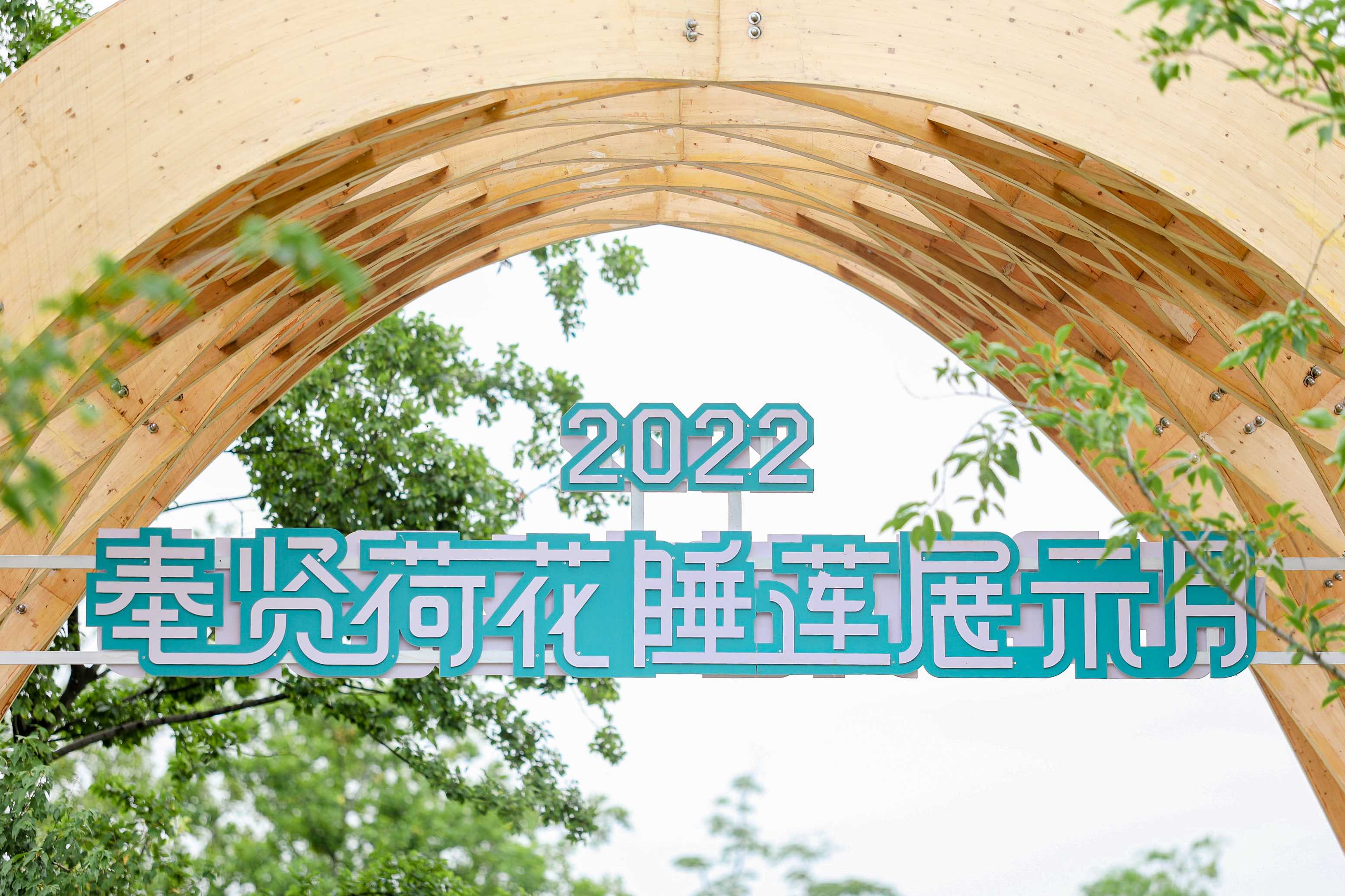 2022奉贤荷花睡莲展示月开幕仪式