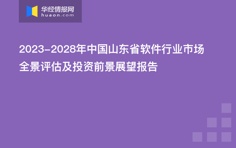 2023-2028年中国山东省软件行业市场全景评估及投资前景展望报告