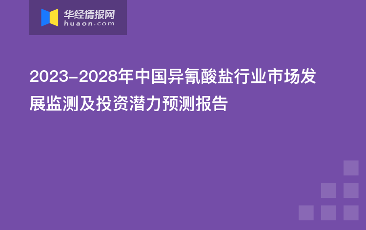 2023-2028年中国异氰酸盐行业市场发展监测及投资潜力预测报告