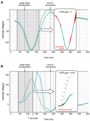 A graph of a graph of a graph of a graph of a graph of a graph of a graph of a graph of a graph of a graph of a graph of a graph of a graph of

Description automatically generated with medium confidence