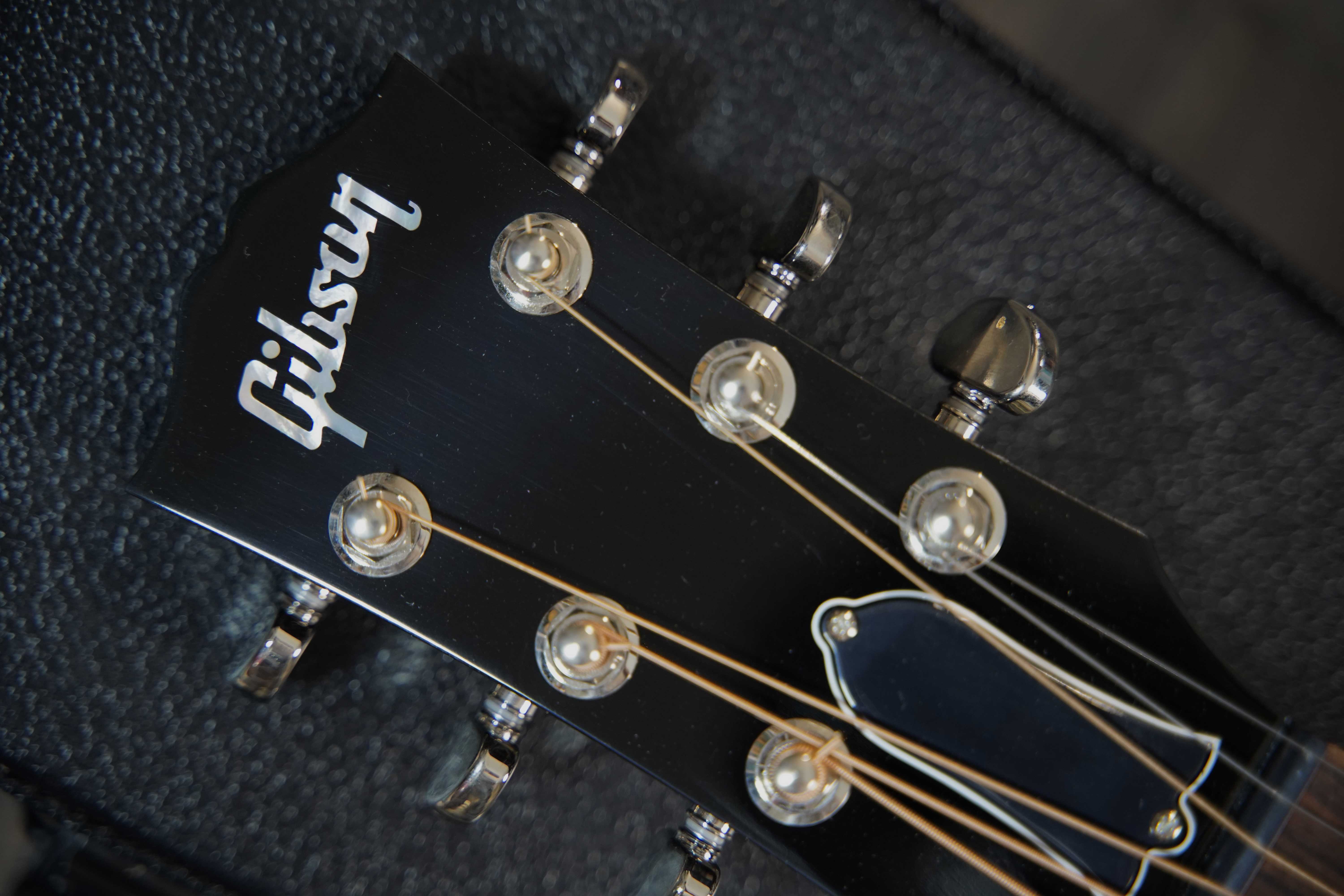 Gibson-DSC08969