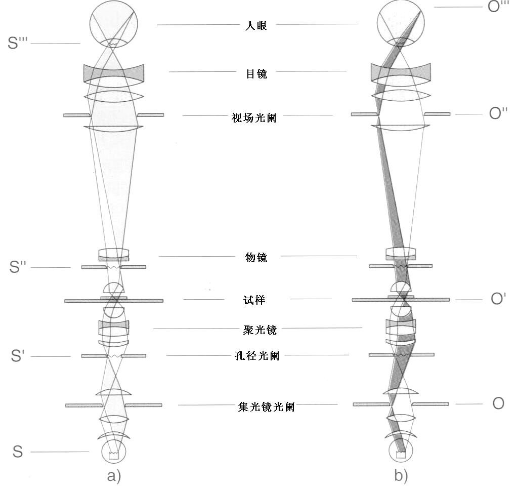 徕卡课堂 | 显微镜光学知识讲解-照明系统篇(图4)