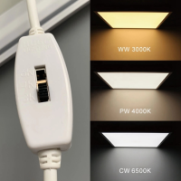 DialSwitchCCTTunableWhiteLEDPanelLight，595x595mm