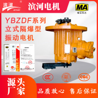 YBZDF-20-6