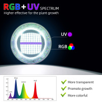 主图-主图3-RGB-UV