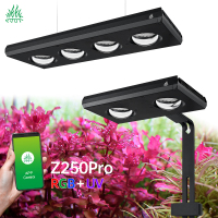 Z250Pro-ZD