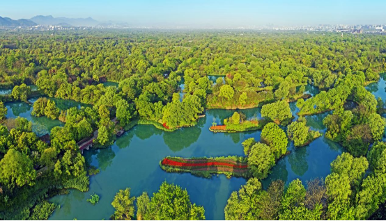 浙江杭州西溪湿地积极探索湿地保护与利用双赢之路(图3)