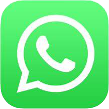 WhatApp: +8613235315889