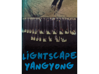 《杨勇：光·景》Lightscape