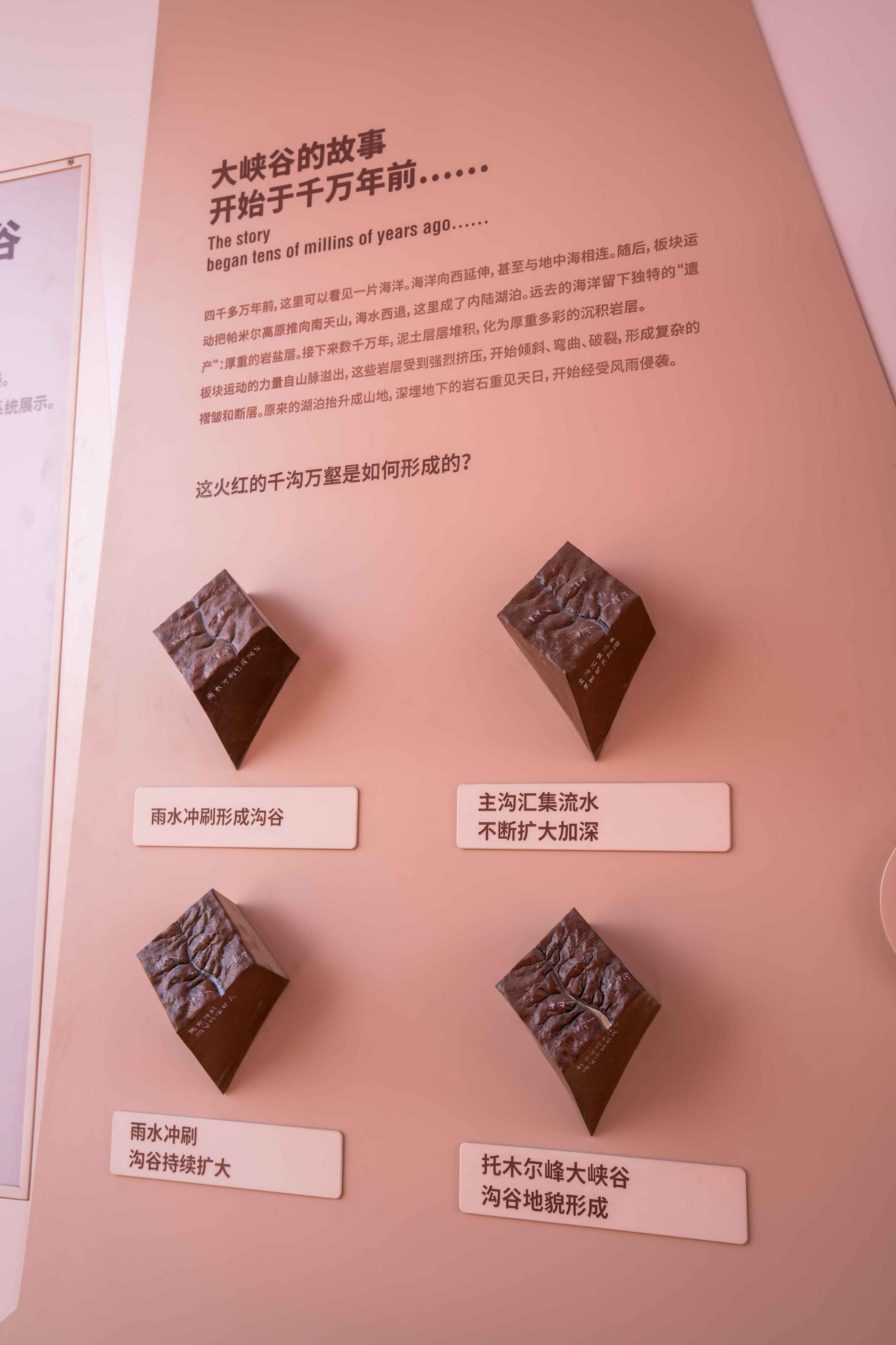 6_结果