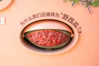 8_结果
