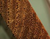img3