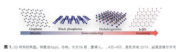 二維過(guò)渡金屬二鹵化物中的激子與極化激元，微觀量子世界的巨大應(yīng)用潛力