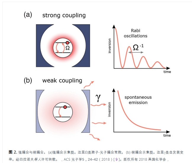 二維過(guò)渡金屬二鹵化物中的激子與極化激元，微觀量子世界的巨大應(yīng)用潛力