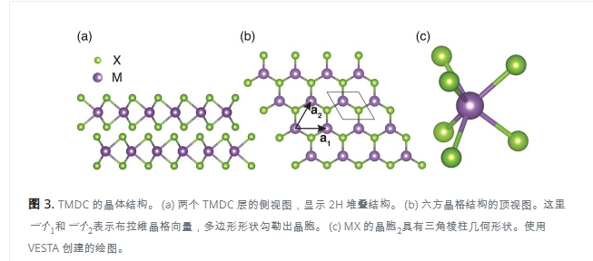 二維過(guò)渡金屬二鹵化物中的激子與極化激元，微觀量子世界的巨大應(yīng)用潛力