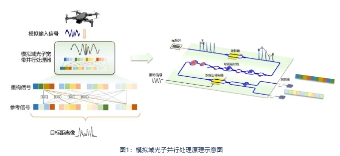 上海交通大学邹卫文教授团队研发模拟域光子宽带并行处理器