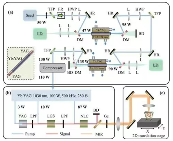 瓦级长波红外飞秒激光与牙釉质共振烧蚀的突破性研究