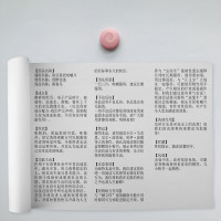娱乐至死咀嚼片-小图
