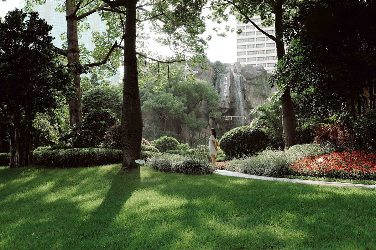 W Punta de Mita 自然