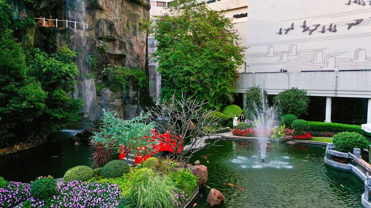 W South Beach 自然