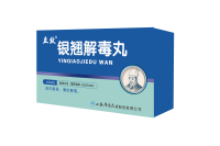 1银翘解毒丸-1