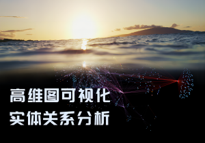 点击下载白皮书，了解以3D图可视化为主导的高效实体关系（社交媒体关联信息）探索性分析