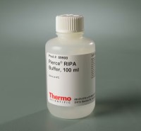 89900-RIPA-Buffer.jpg-650