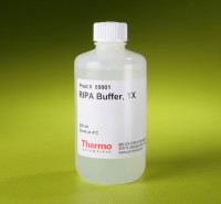 89901-RIPA-Buffer.jpg-650