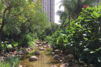 福州南屿滨江城阳光城翡丽湾7-地块景观工程-2