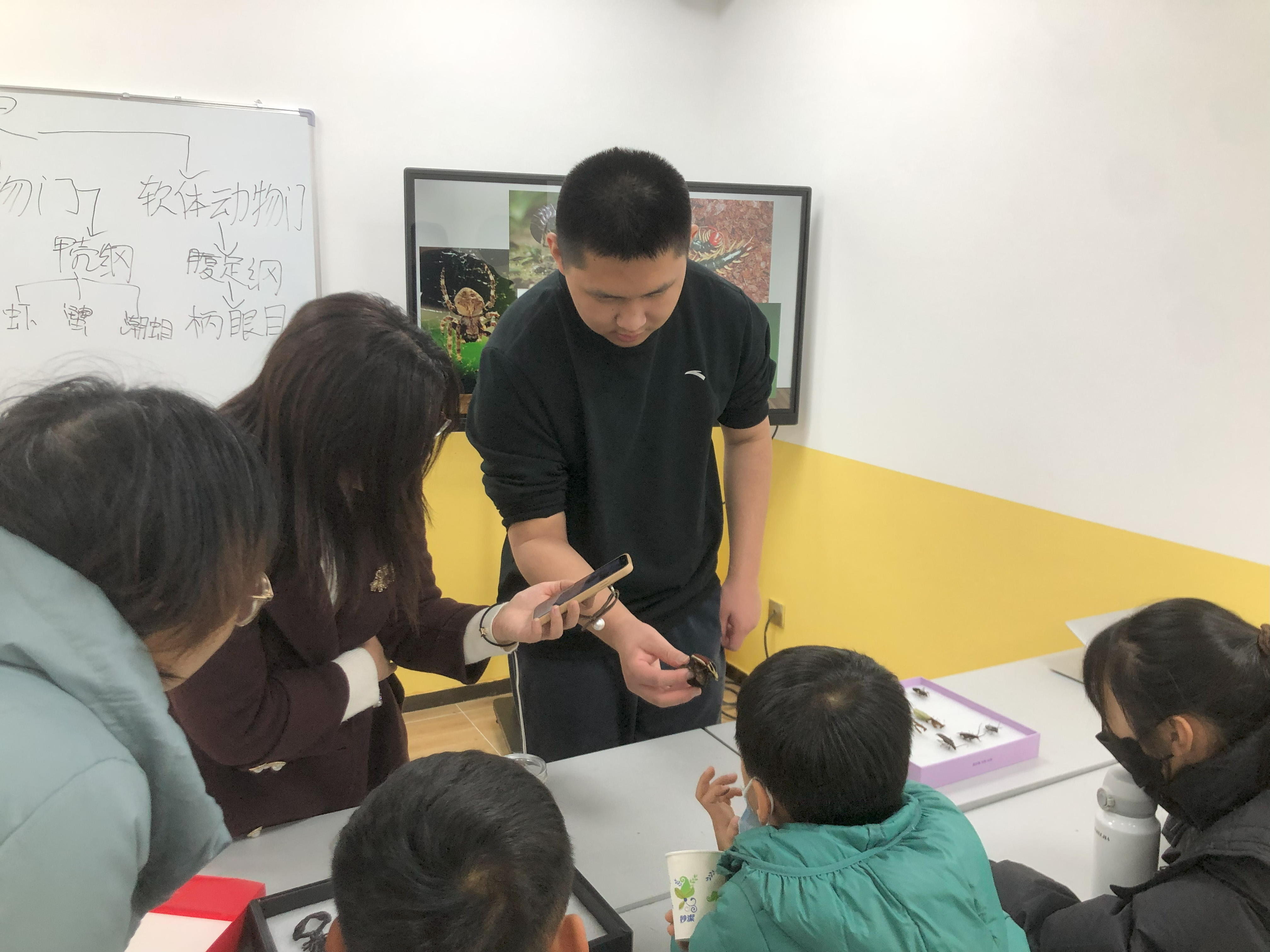 2023.12.10昆虫讲座直播23