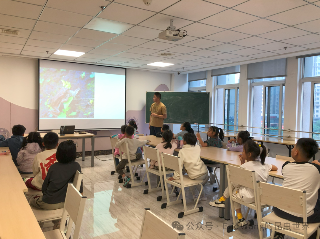2024.10.13云图-2024.10.13云龙区图书馆趣味虫生科普讲座003