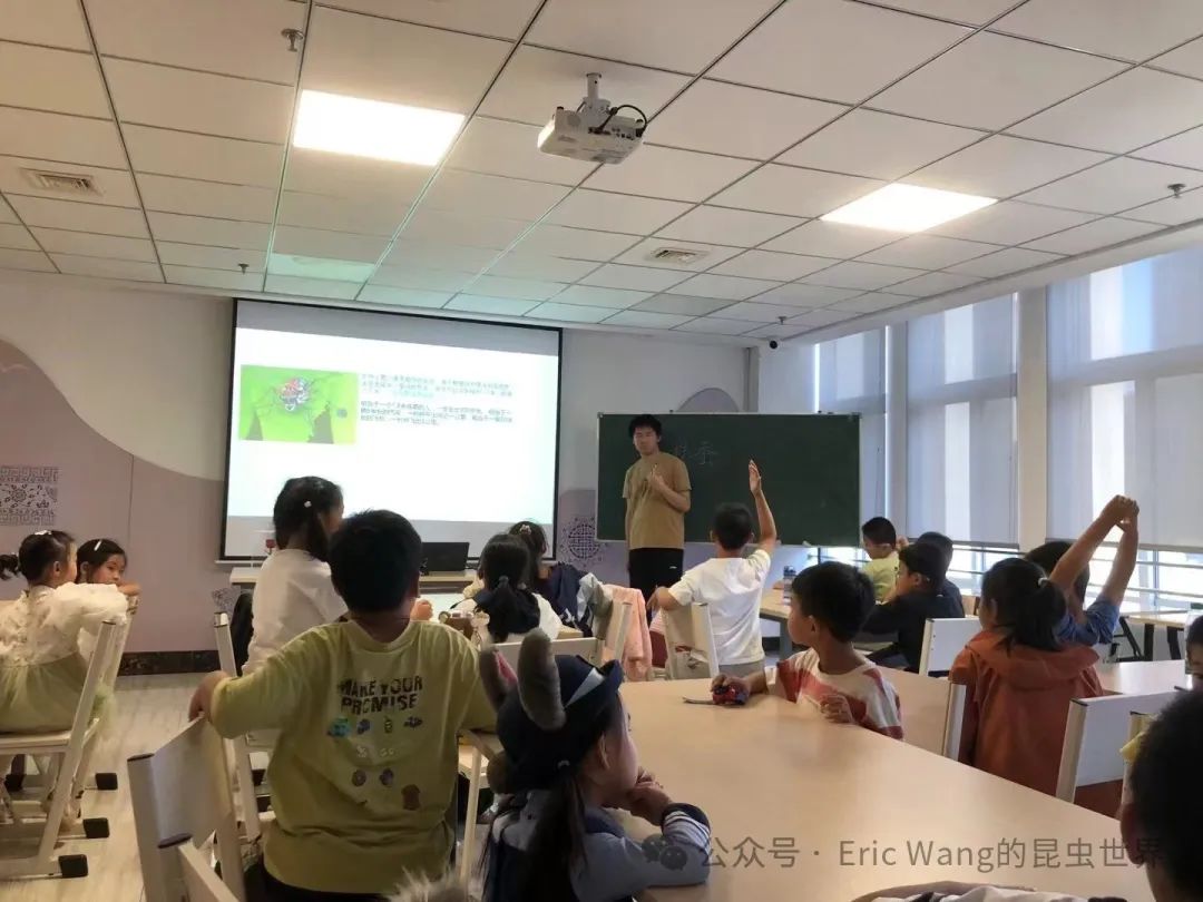 2024.9.21云龙区图书馆趣味虫生科普讲座006
