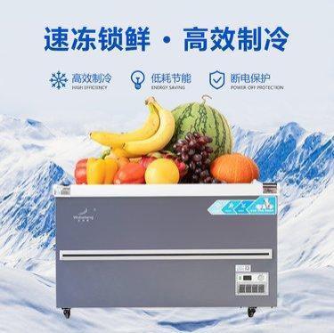 370L饭店厨房冷冻肉类卧式冰箱商用冷藏冷冻保鲜冷柜冰柜