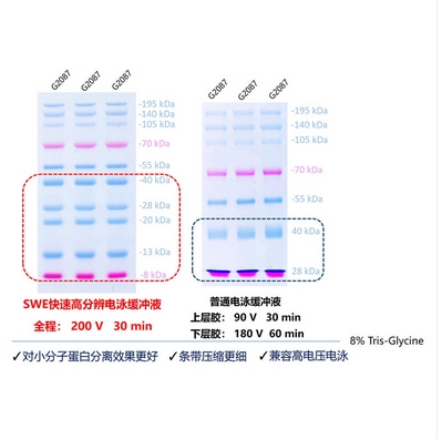 微信截图_20240105103220