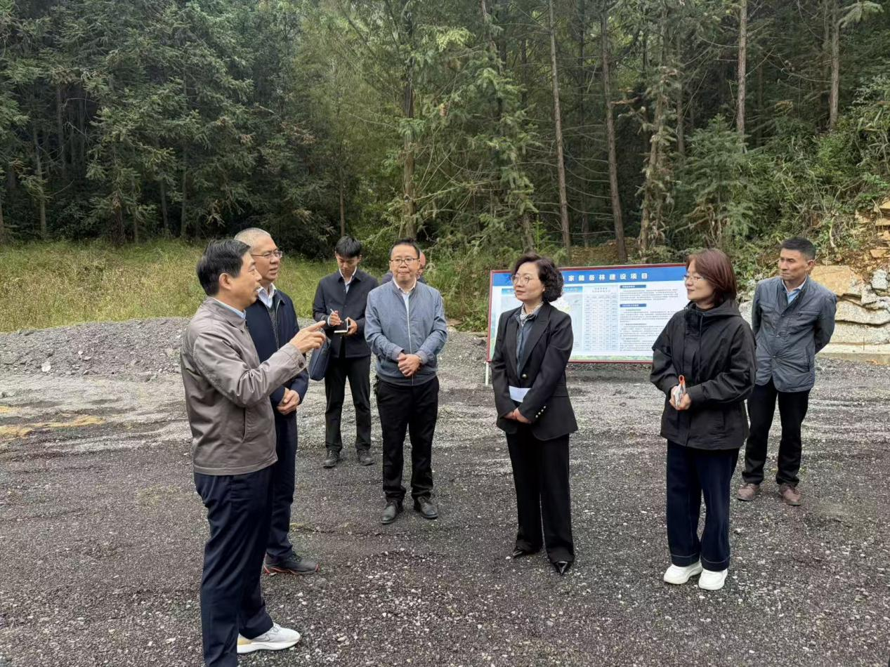 席峰调研贵池区国家储备林建设及林下经济发展情况
